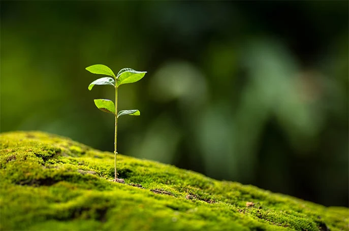 Neocolis responsable pour l'environnement